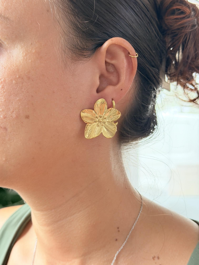 Boucles d'oreilles Cerisier